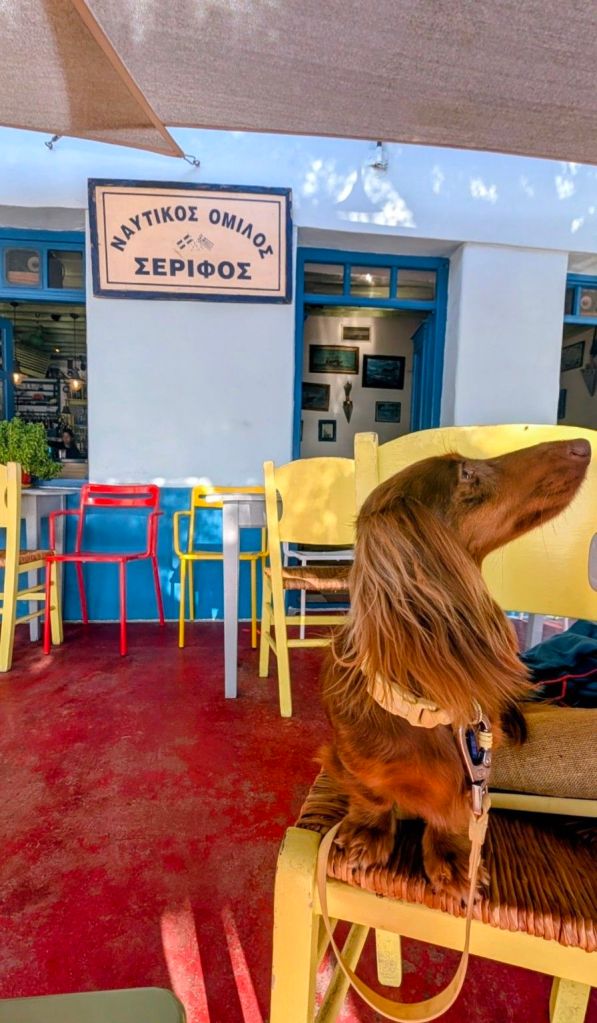 Pita au Yacht Club de Serifos