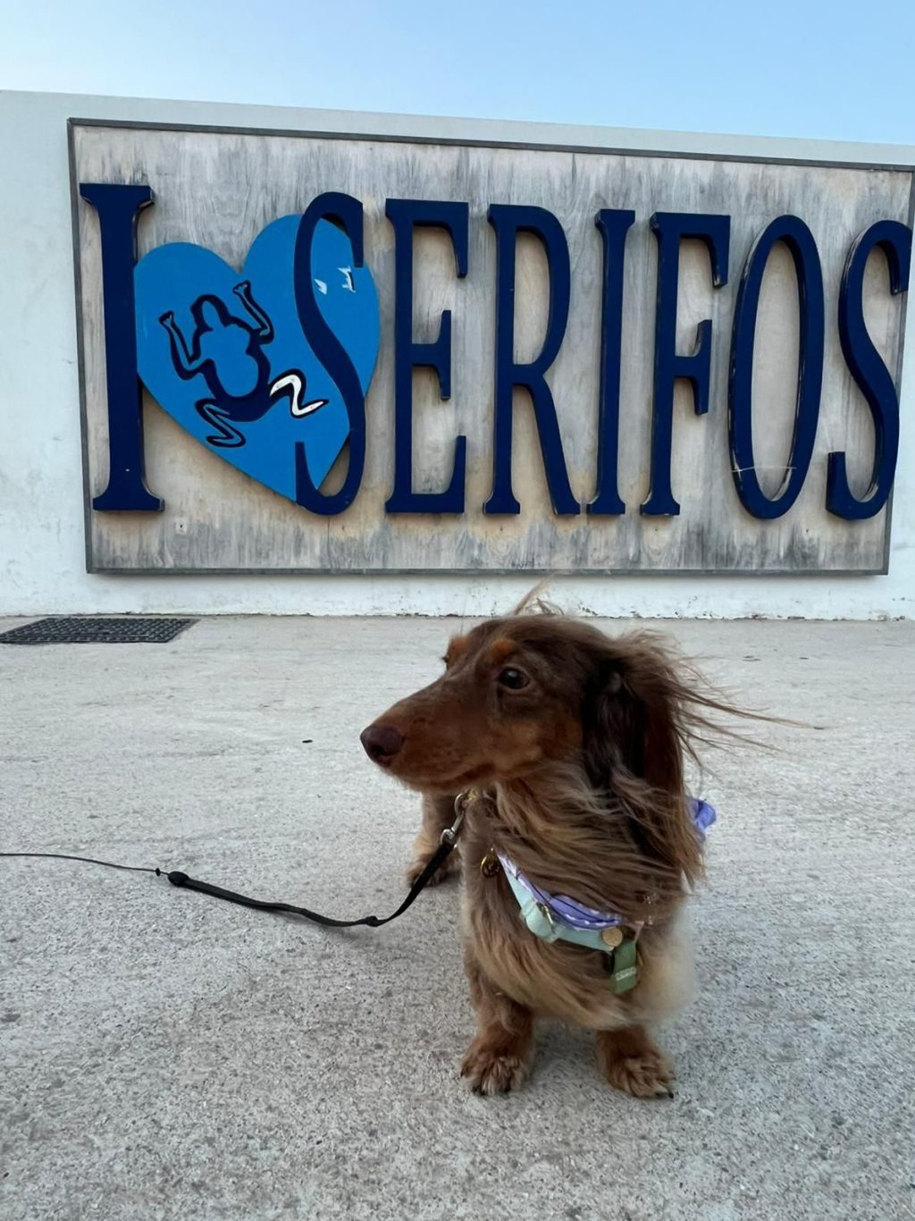 Pita’s Greek Guide #1 — Serifos avec un chien&nbsp;🐾🇬🇷
