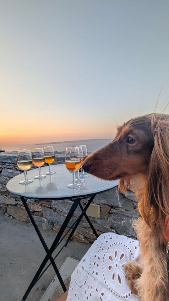 Pita en Grèce au coucher du soleil